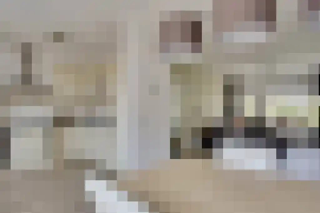 Kapelweg 64 Mierlo thumbnail 16