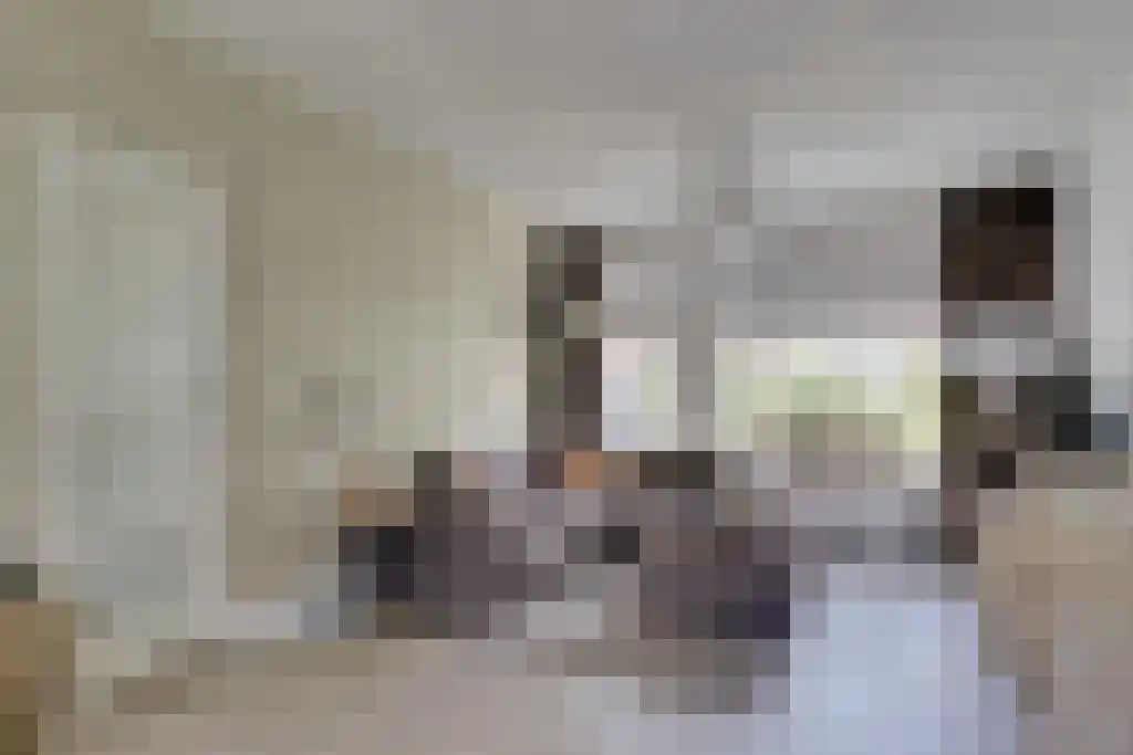 Kapelweg 64 Mierlo thumbnail 18