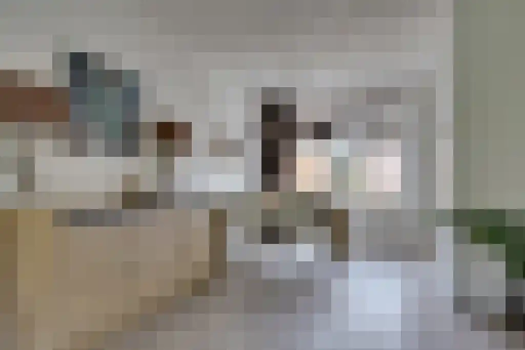 Kapelweg 64 Mierlo thumbnail 4