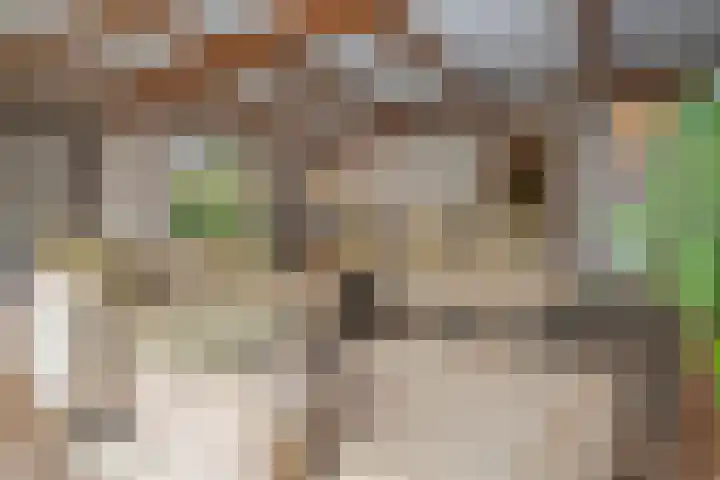 Kapelweg 69 Maarn thumbnail 10