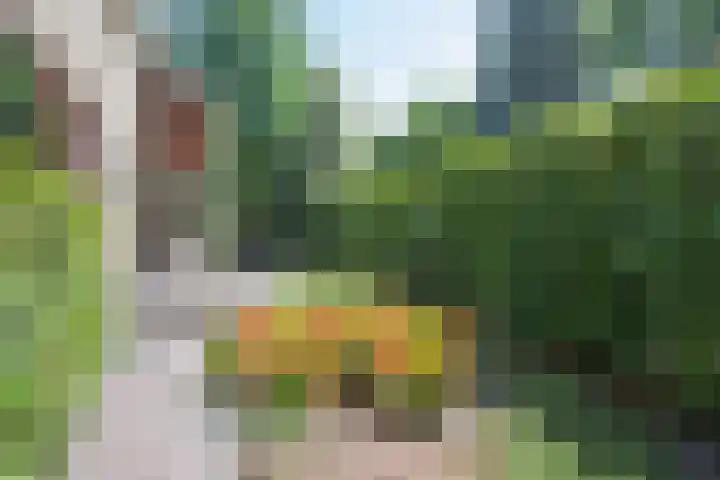 Kapelweg 69 Maarn thumbnail 34