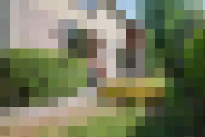 Kapelweg 69 Maarn thumbnail 35