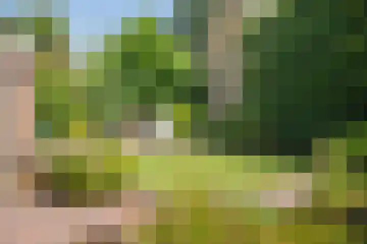 Kapelweg 69 Maarn thumbnail 37