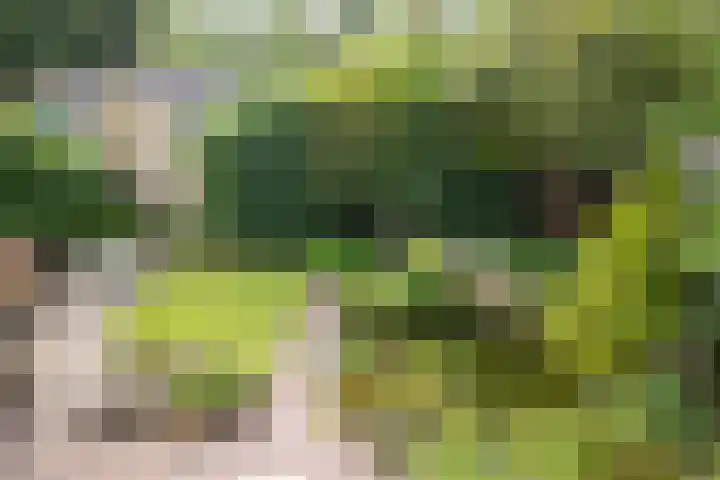 Kapelweg 69 Maarn thumbnail 4