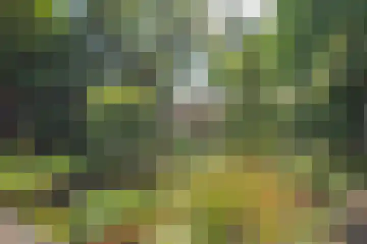 Kapelweg 69 Maarn thumbnail 41