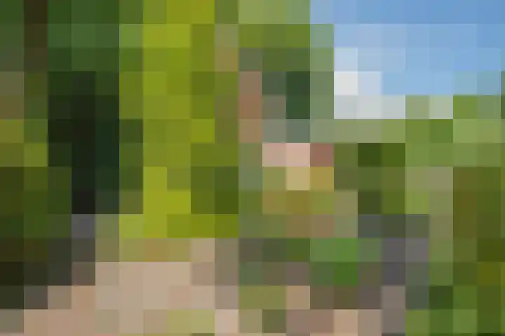 Kapelweg 69 Maarn thumbnail 43