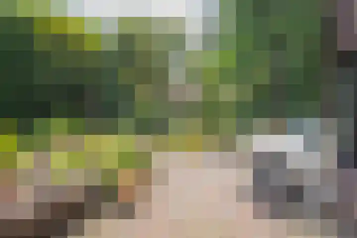 Kapelweg 69 Maarn thumbnail 44