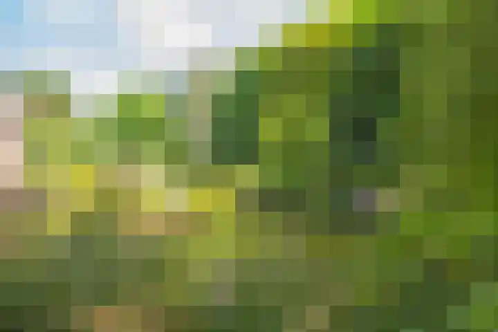 Kapelweg 69 Maarn thumbnail 46