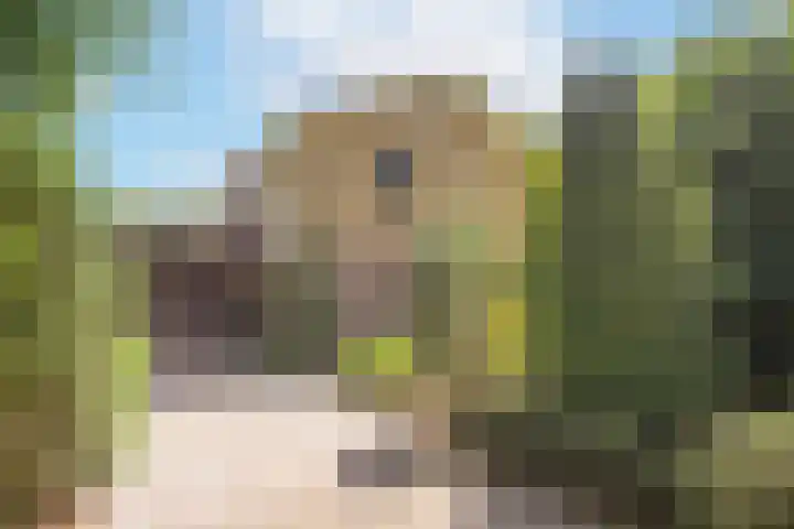 Kapelweg 69 Maarn thumbnail 47