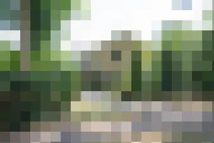 Kapelweg 69 Maarn thumbnail 52
