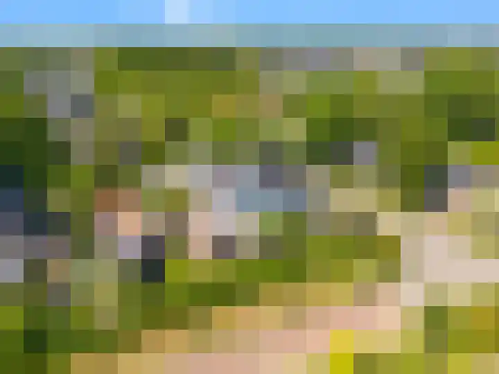 Kapelweg 7 Limmen thumbnail 42