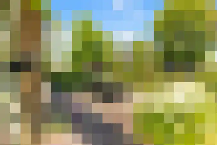 Kapelweg 7 Limmen thumbnail 47