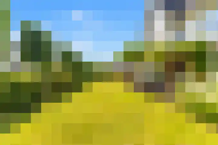 Kapelweg 7 Limmen thumbnail 55