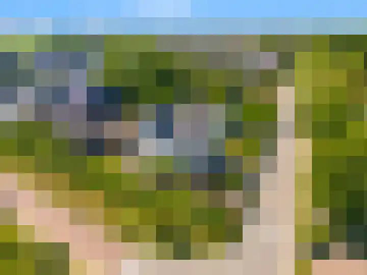 Kapelweg 7 Limmen thumbnail 64