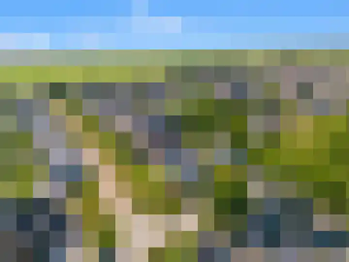 Kapelweg 7 Limmen thumbnail 65
