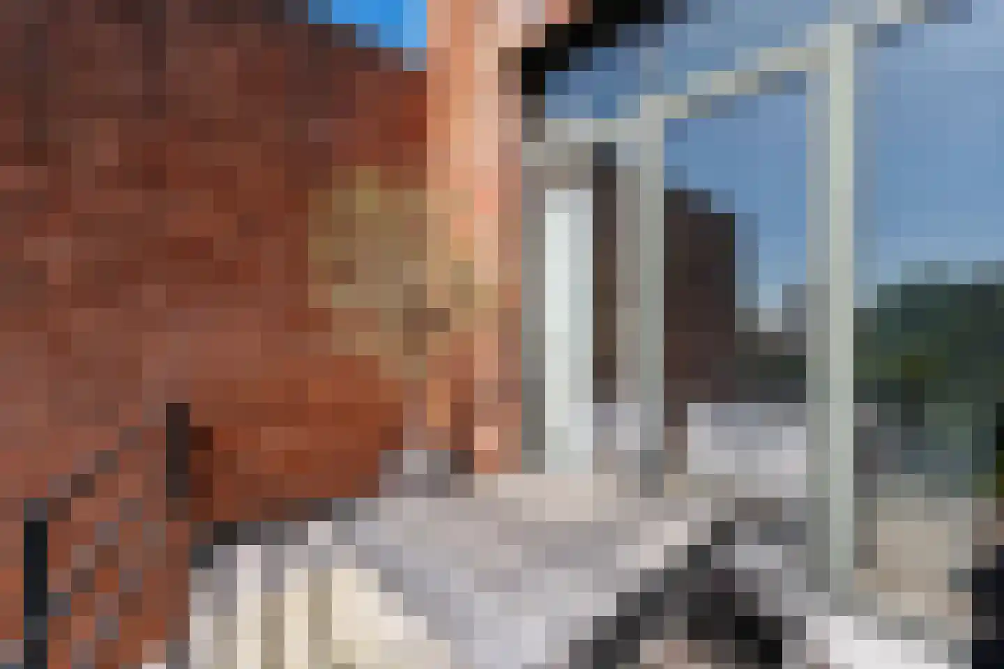 Kapelweg 72 Bergeijk thumbnail 6