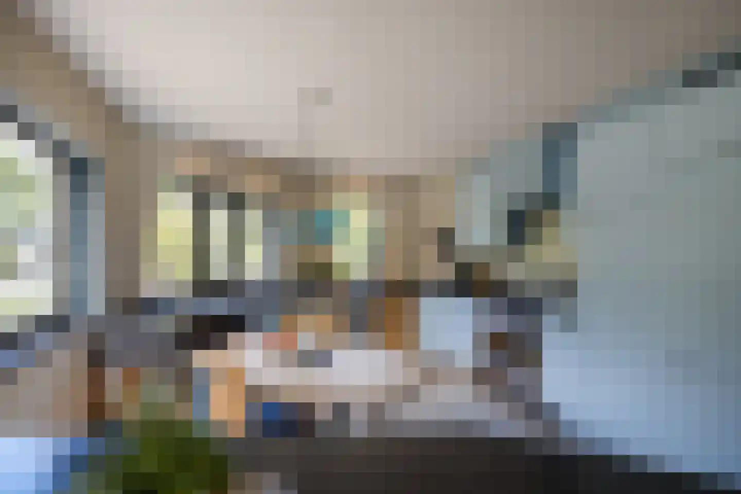 Kapelweg 94 Bergeijk thumbnail 8