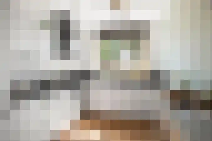 Kapelweide 15 Lettele thumbnail 11