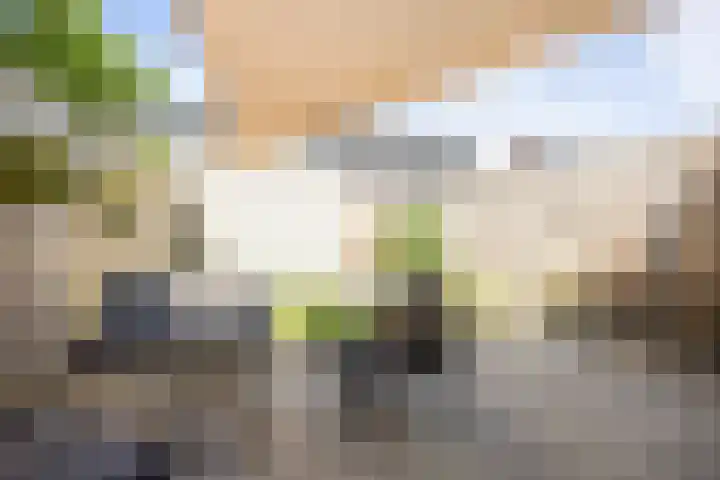 Kapelweide 15 Lettele thumbnail 12