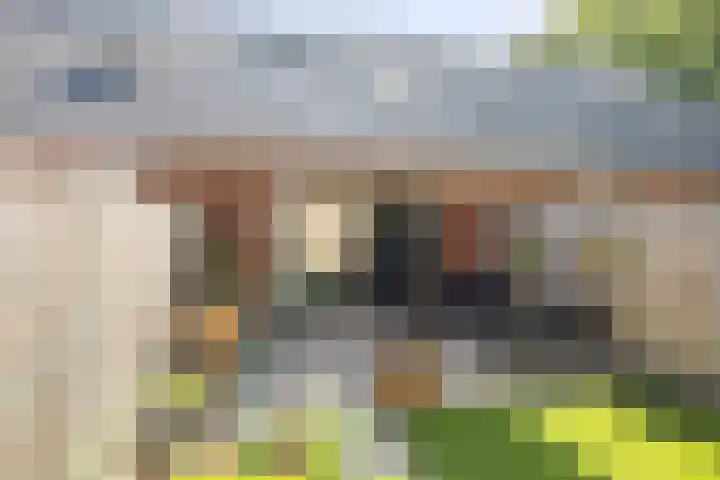 Kapelweide 15 Lettele thumbnail 14