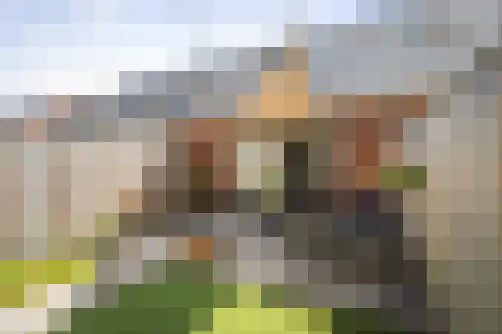 Kapelweide 15 Lettele thumbnail 4