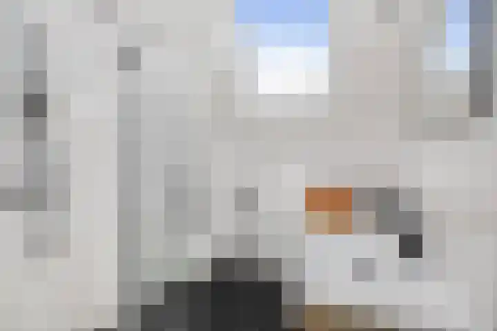 Kapelweide 15 Lettele thumbnail 5