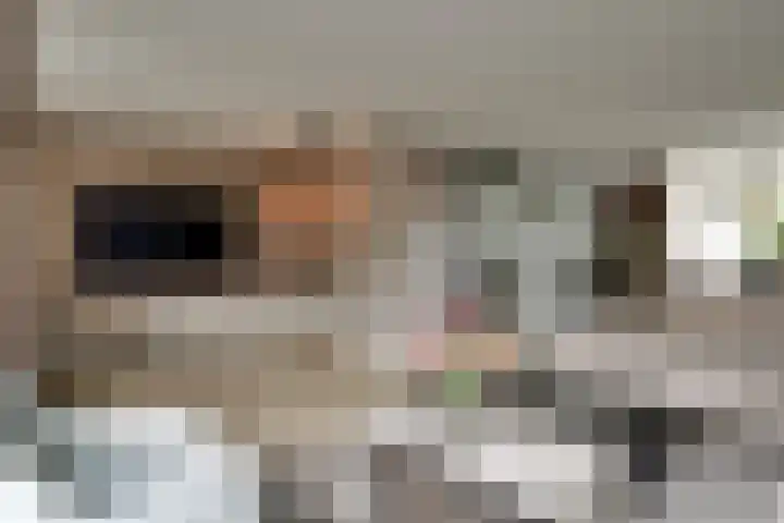 Kaper 46 Volendam thumbnail 15