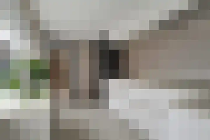 Kaper 46 Volendam thumbnail 20