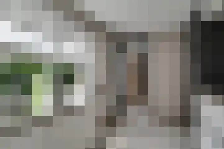 Kaper 46 Volendam thumbnail 21