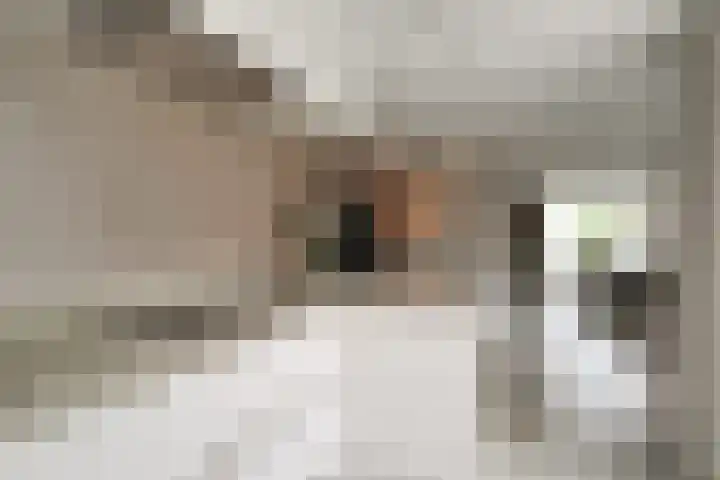 Kaper 46 Volendam thumbnail 24