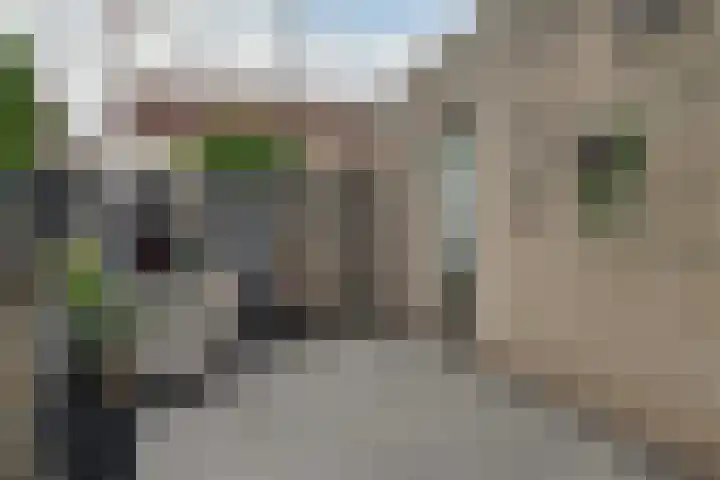 Kaper 46 Volendam thumbnail 29