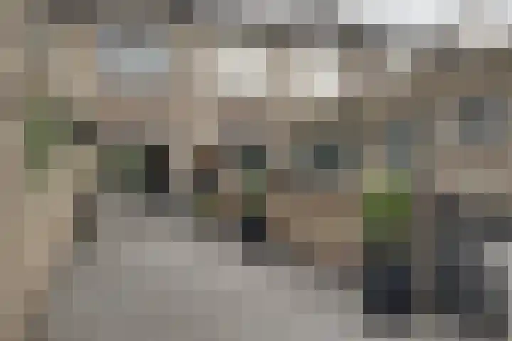 Kaper 46 Volendam thumbnail 32