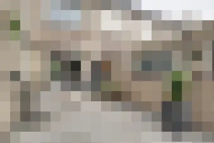 Kaper 46 Volendam thumbnail 33
