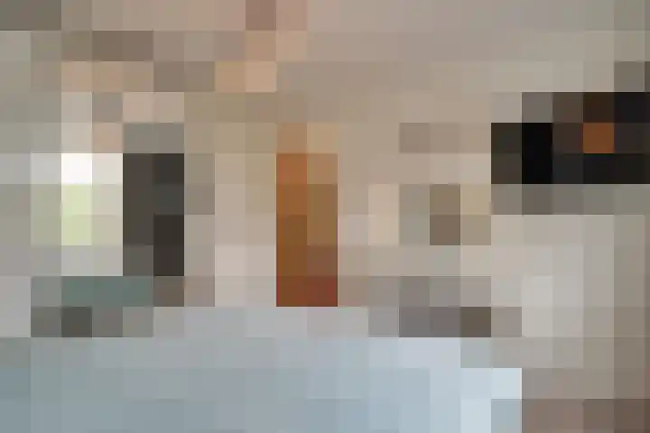 Kaper 46 Volendam thumbnail 39