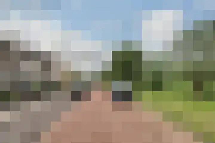 Kaper 46 Volendam thumbnail 66