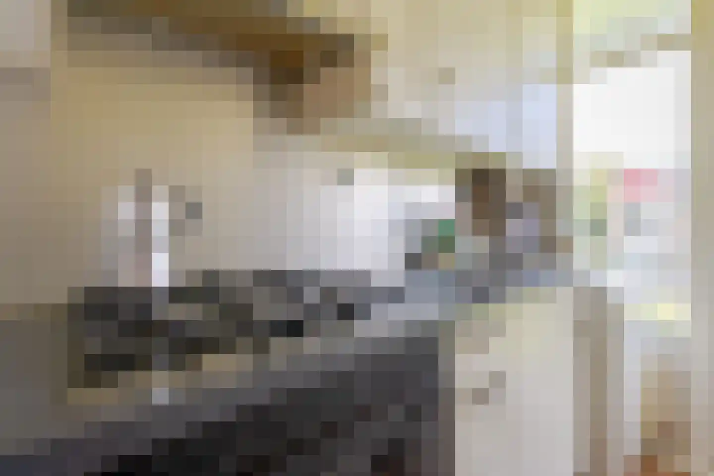 Kapershoek 10 Rotterdam thumbnail 15