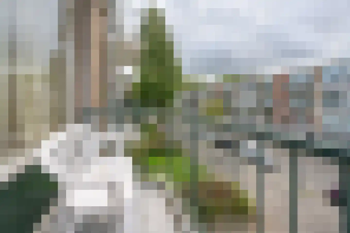 Kapershoek 10 Rotterdam thumbnail 19