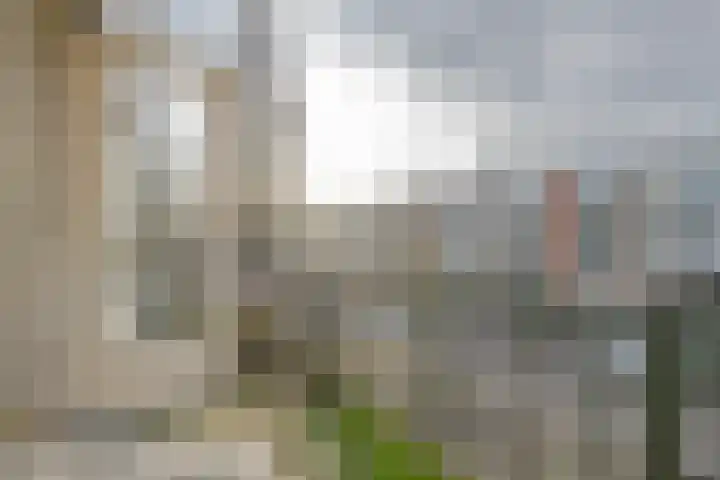 Kapershoek 16 Rotterdam thumbnail 14