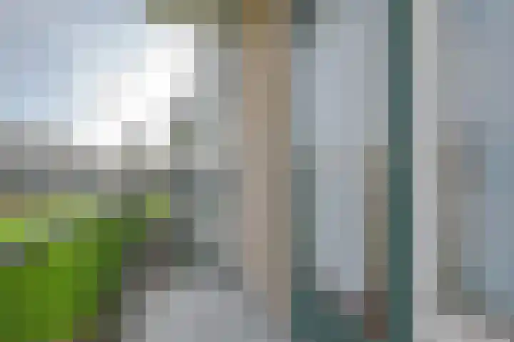 Kapershoek 16 Rotterdam thumbnail 18