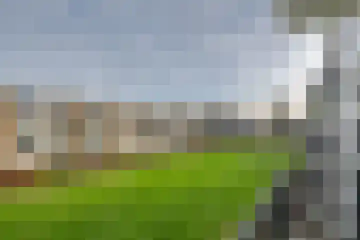 Kapershoek 16 Rotterdam thumbnail 19