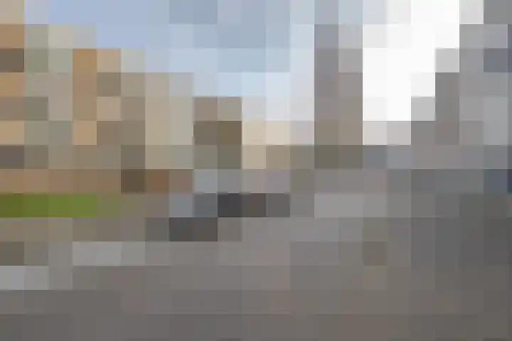 Kapershoek 16 Rotterdam thumbnail 22
