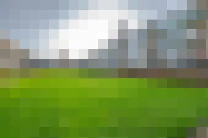 Kapershoek 16 Rotterdam thumbnail 23