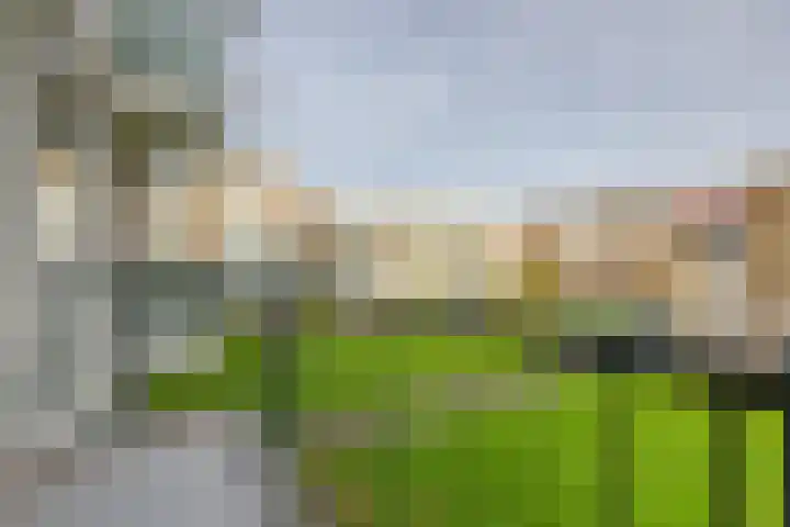 Kapershoek 16 Rotterdam thumbnail 4