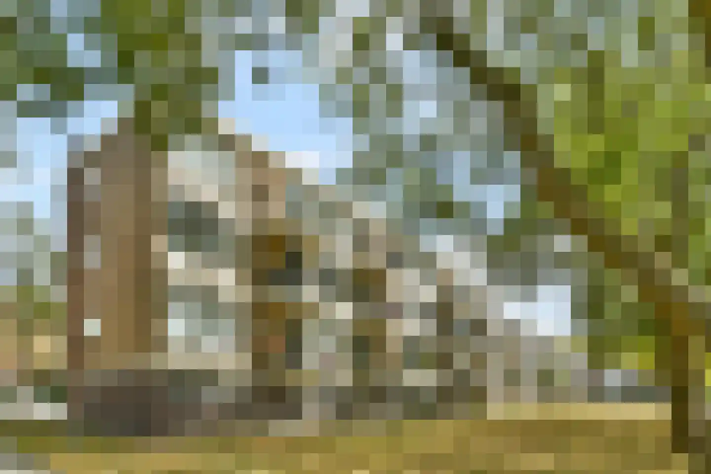 Kapershoek 31 Rotterdam thumbnail 22