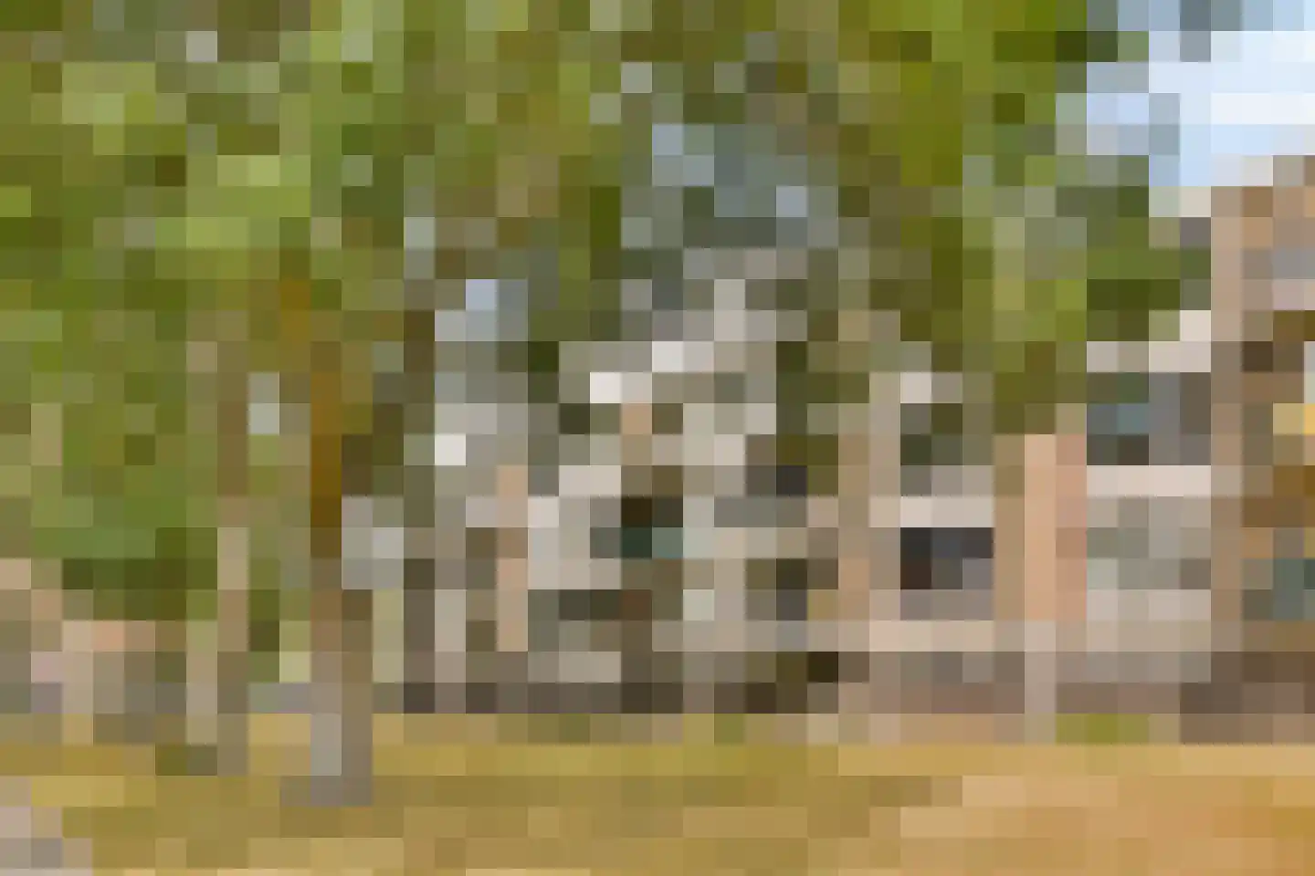 Kapershoek 31 Rotterdam thumbnail 23