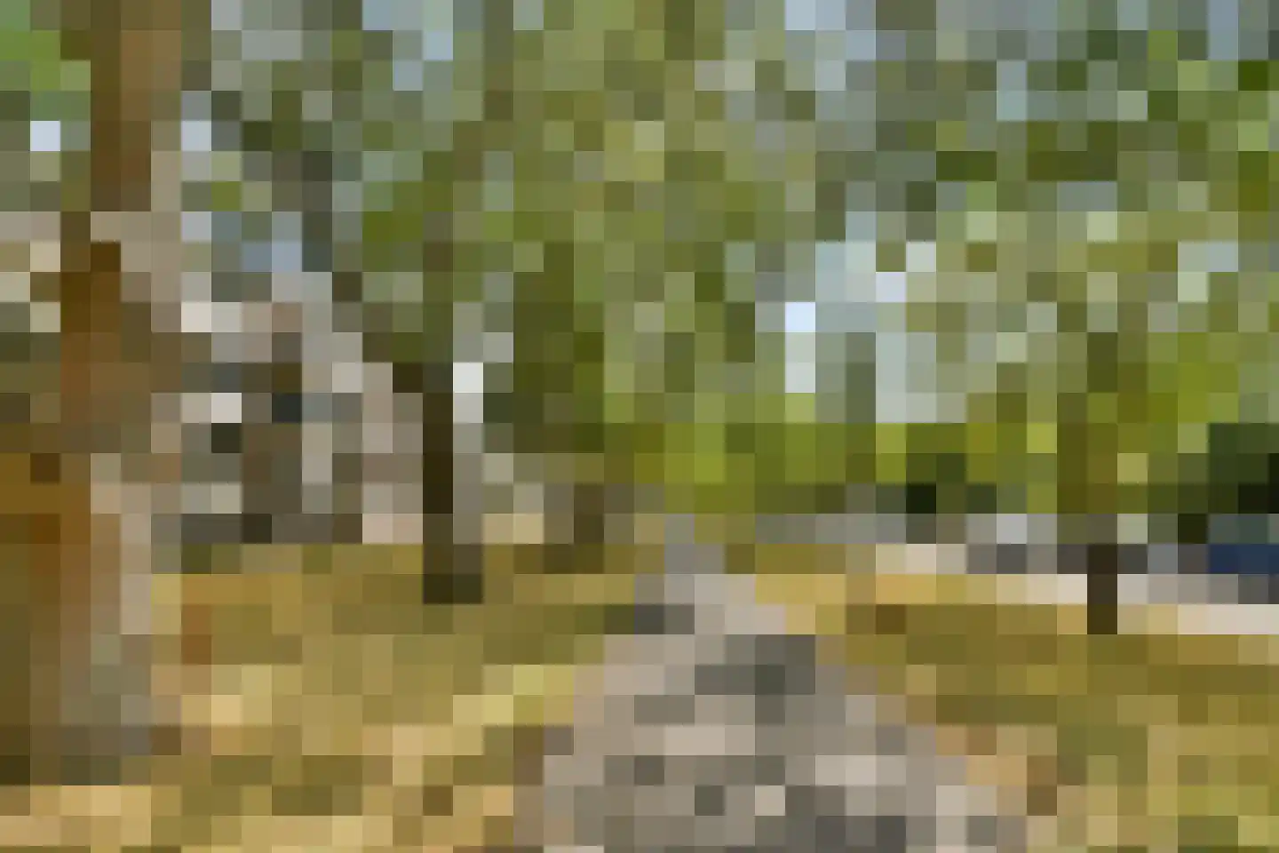 Kapershoek 31 Rotterdam thumbnail 24