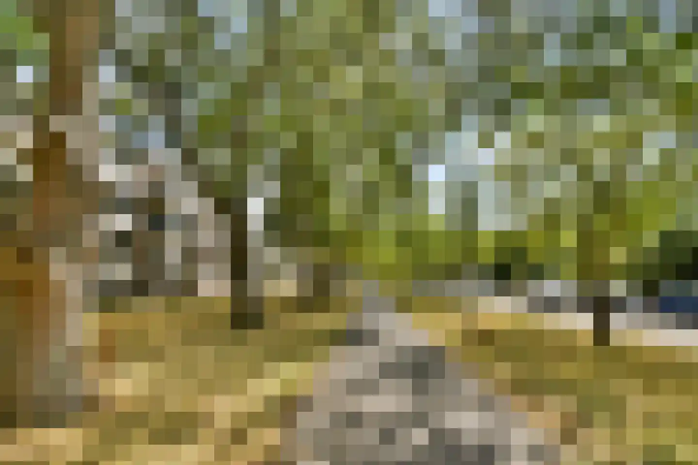 Kapershoek 31 Rotterdam thumbnail 25