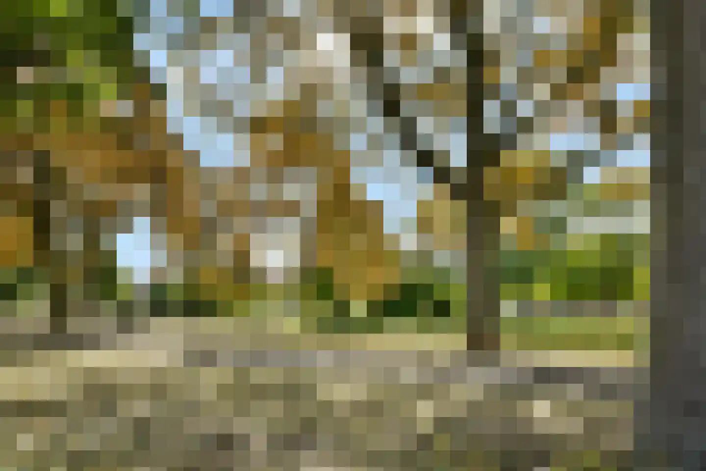 Kapershoek 31 Rotterdam thumbnail 27