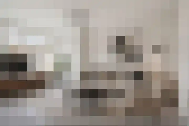 Kapershoek 34 in Rotterdam