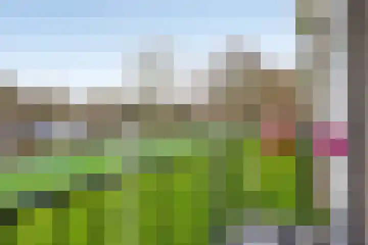 Kapershoek 75 Rotterdam thumbnail 19